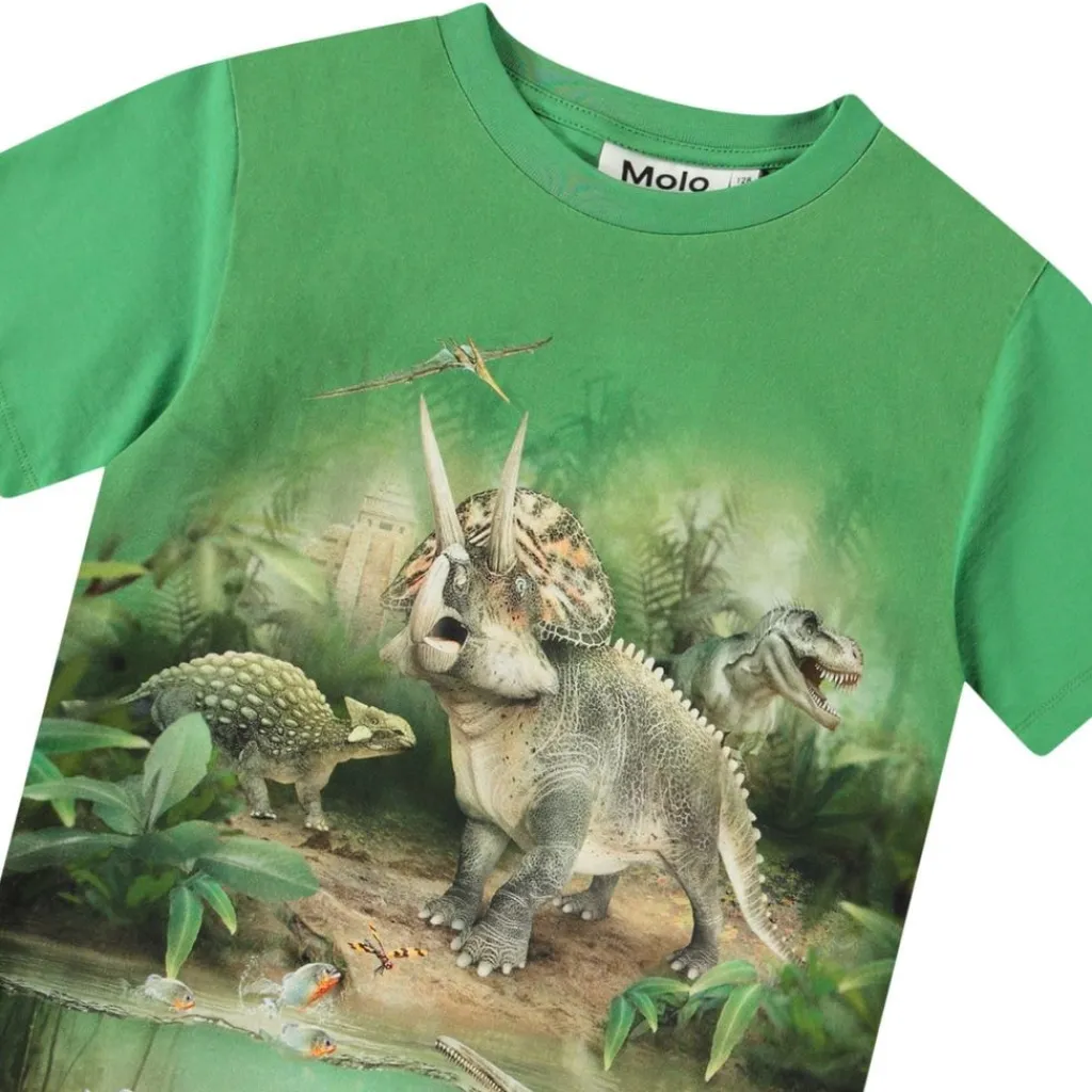 Riley Short Sleeve T-Shirt Jungle Dinos>Molo