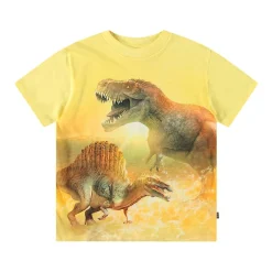 Roxo Short Sleeve T-Shirt Sunny Dinos>Molo Clearance
