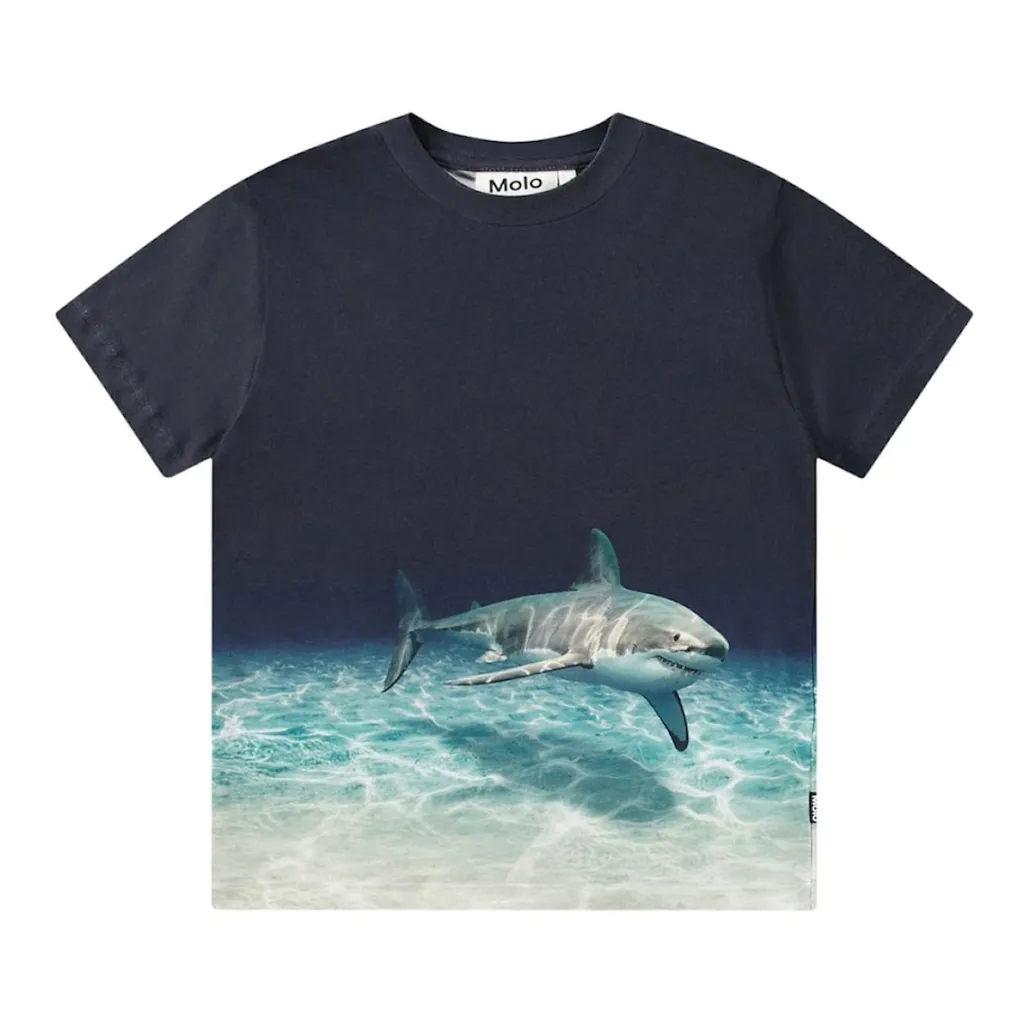 Roxo T-shirt Faded Shark>Molo Online