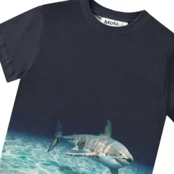 Roxo T-shirt Faded Shark>Molo Online