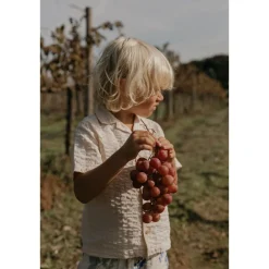 Seersucker Kortärmad Skjorta Grapes Ecru><noscript><img width=