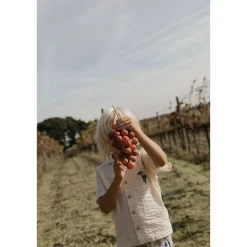 Seersucker Kortärmad Skjorta Grapes Ecru><noscript><img width=