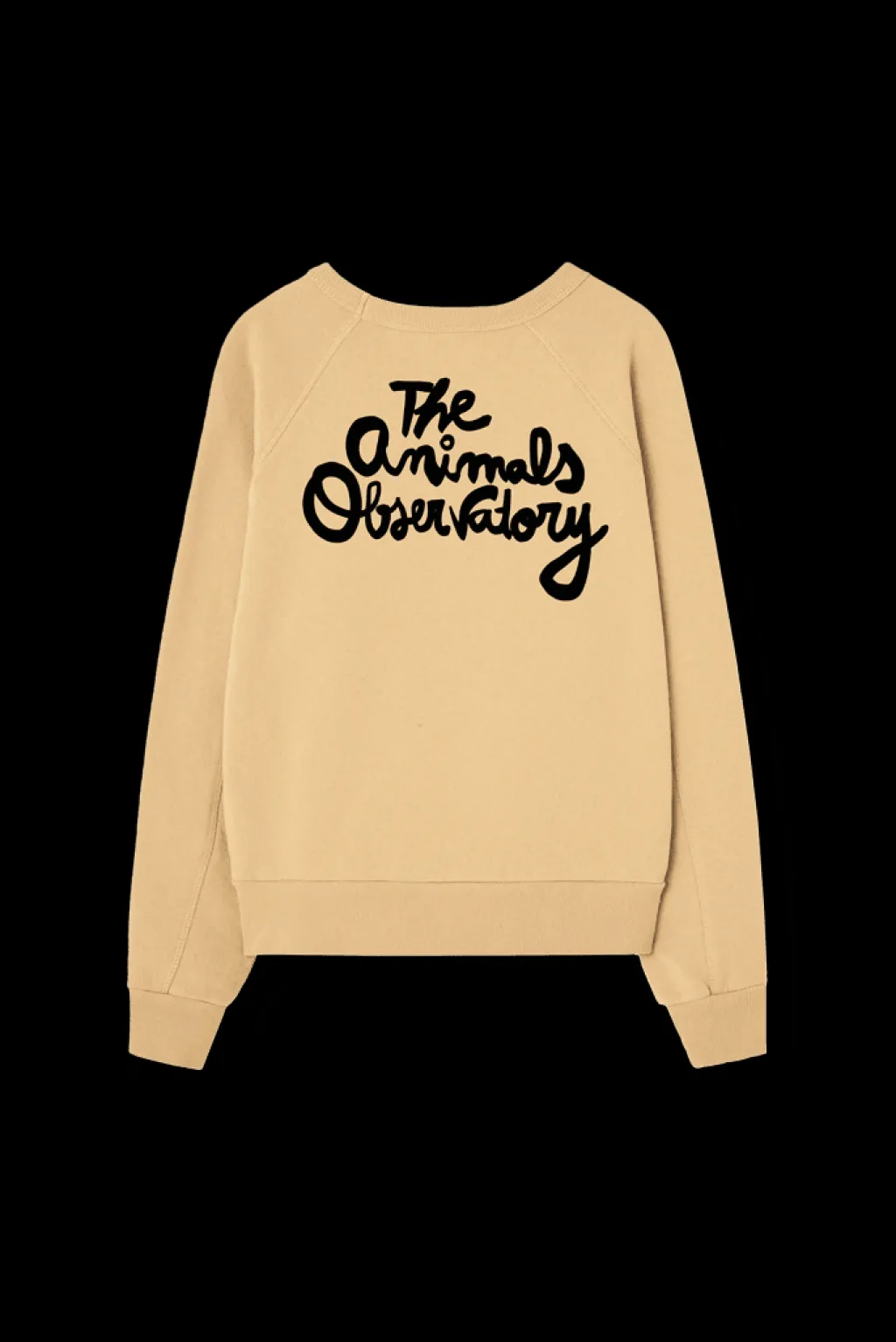 Shark Sweatshirt Soft Brown>The Animals Observatory Discount