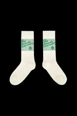 Snail Strumpor Green>The Animals Observatory Sale