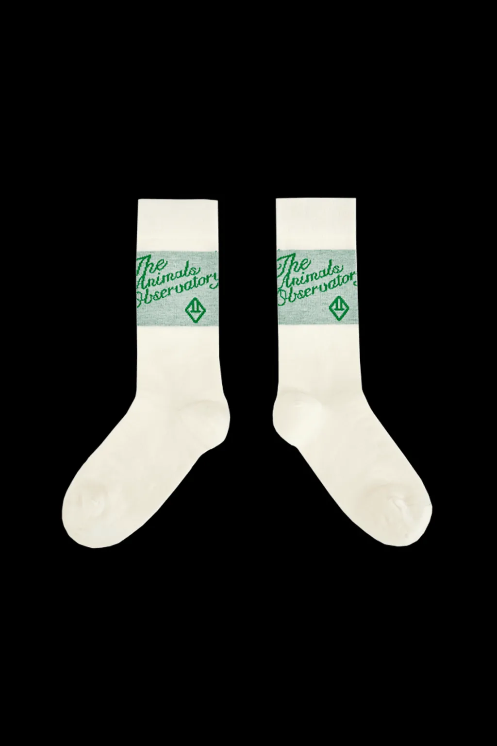 Snail Strumpor Green>The Animals Observatory Sale
