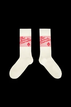 Snail Strumpor Red>The Animals Observatory New