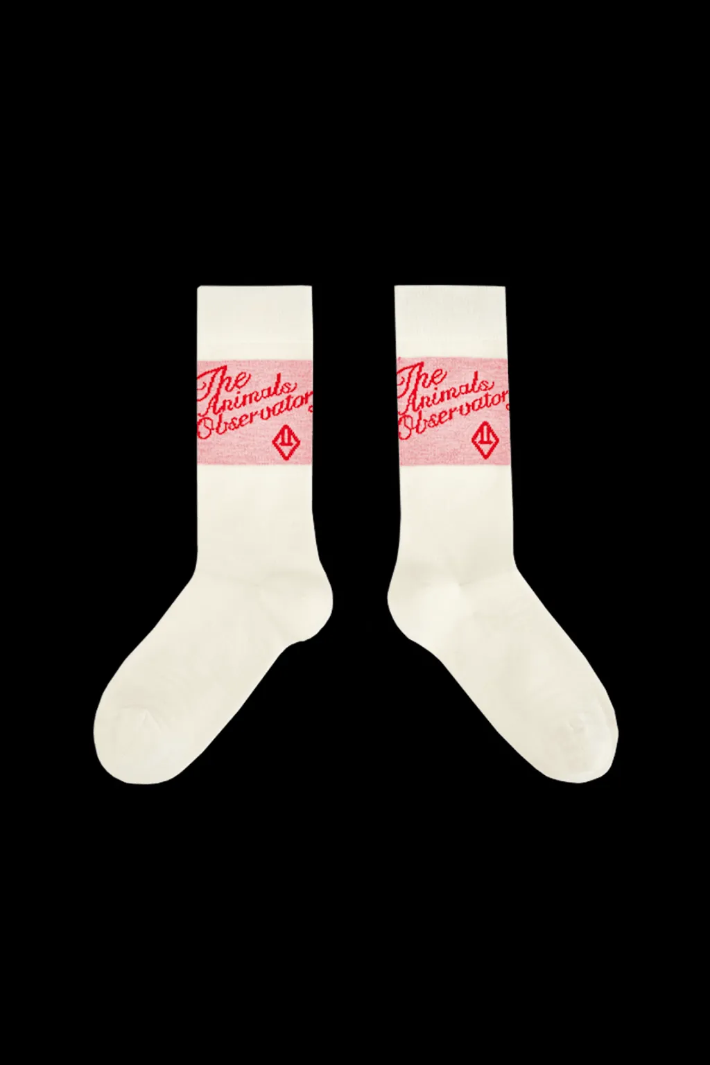 Snail Strumpor Red>The Animals Observatory New