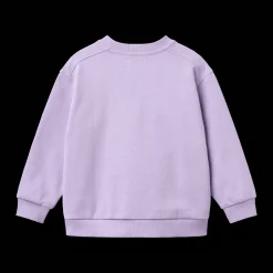Sweatshirt L/S Ellis Purple Candy>Wheat Online