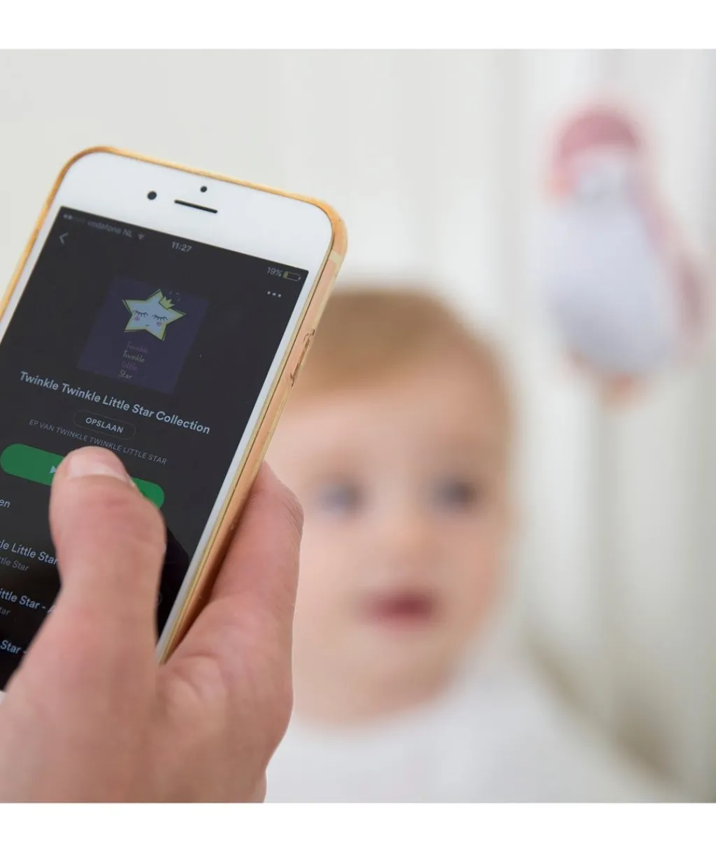 Zoe Music Box Grå>Zazu