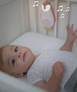 Zoe Music Box Grå><noscript><img width=