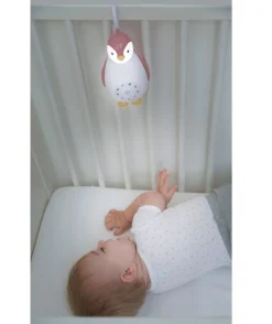 Zoe Music Box Rosa><noscript><img width=