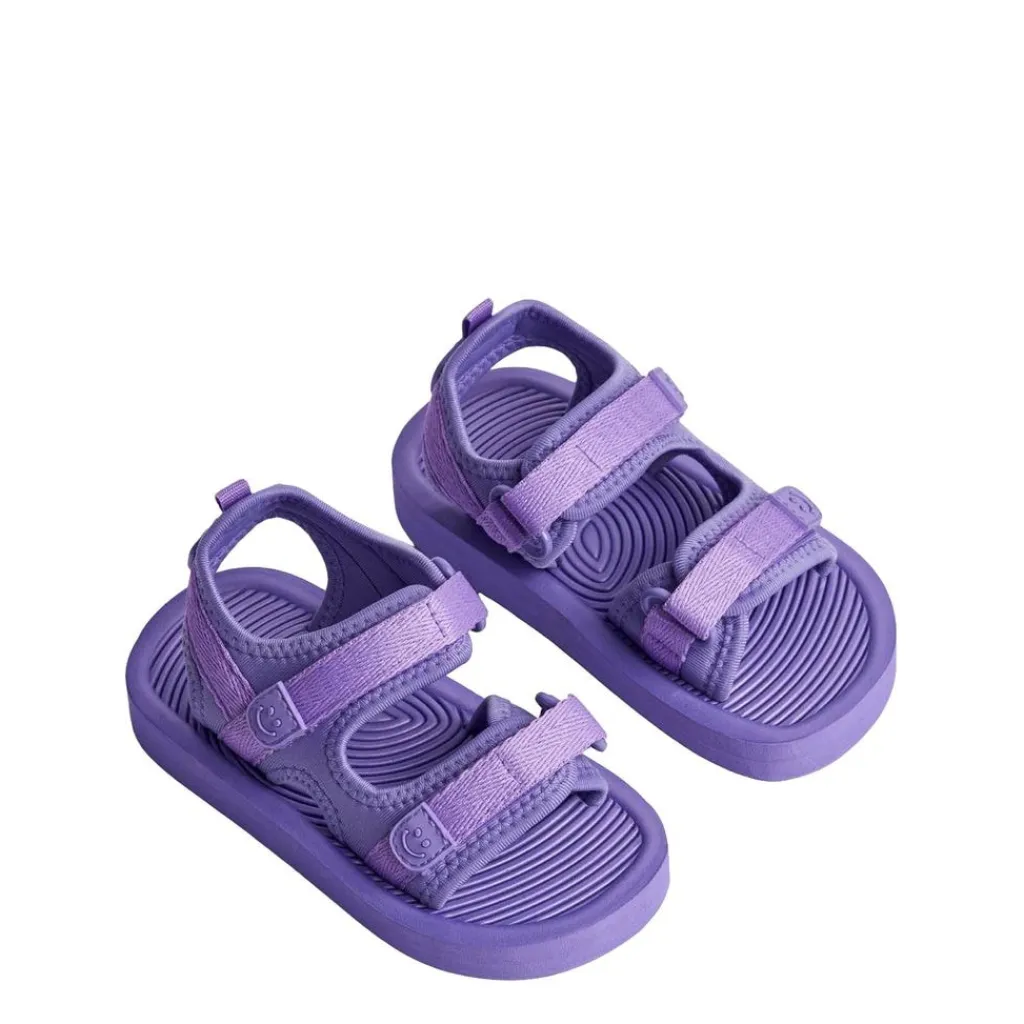 Zola Tofflor Purple Glo>Molo Hot